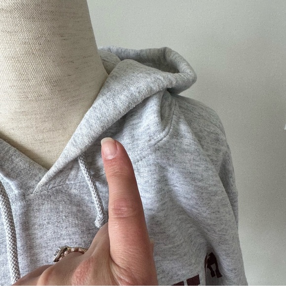 University of Minnesota Hoodie - Printed Text Graphic - Gray - Picture 4 of 7